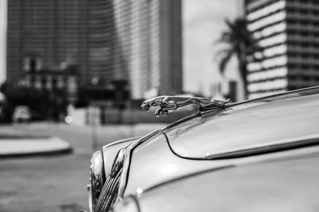 Kazoom Kasyno Aplikacja Android/iOS